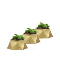 Mini Çiçek Saksı Küçük Sukulent Altın Kaktüs Saksısı 3lü Set Mini Poly 2 Model